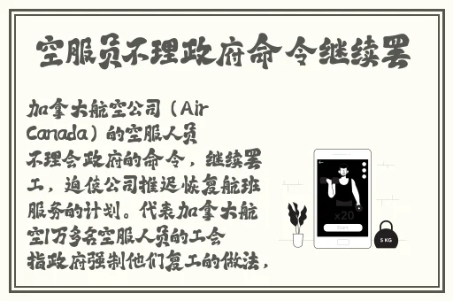 胡桃的腿法熟练